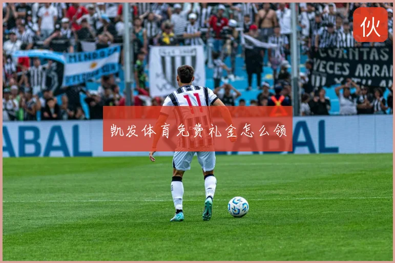 凯发体育免费礼金怎么领